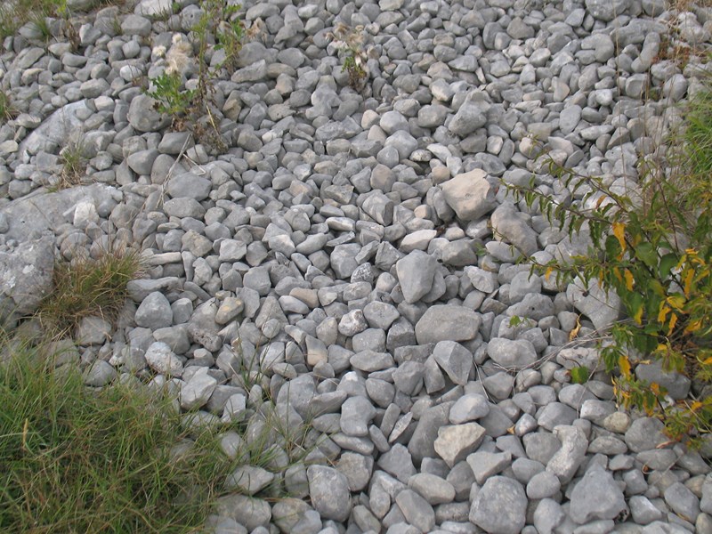 IMG_1754 (Copier).JPG