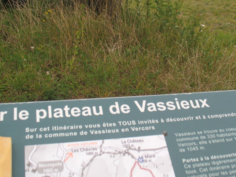 IMG_1760 (Copier).JPG