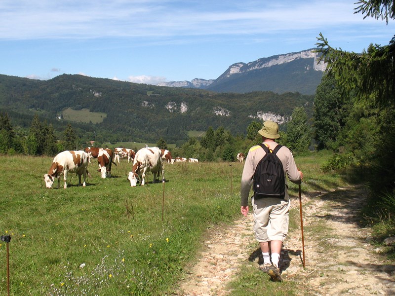 IMG_1643 (Copier).JPG