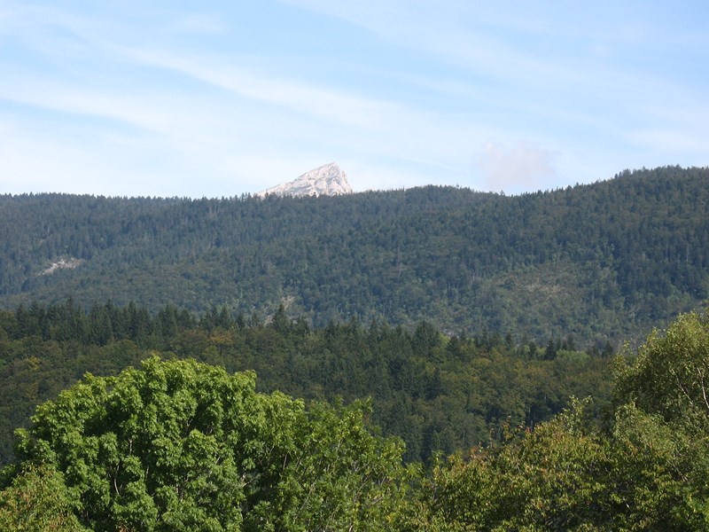 IMG_1648 (Copier).JPG