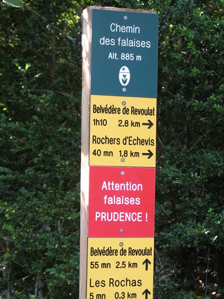 IMG_1655 (Copier).JPG