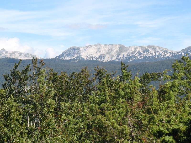 IMG_1657 (Copier).JPG