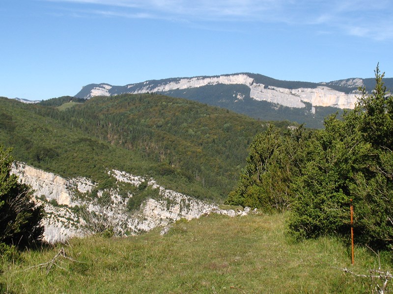 IMG_1663 (Copier).JPG