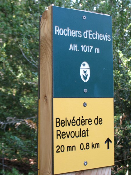 IMG_1668 (Copier).JPG