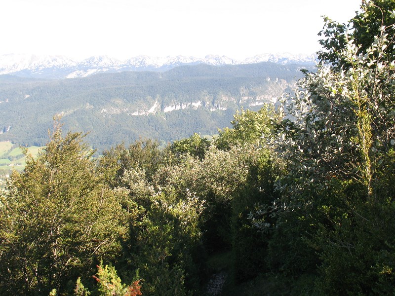 IMG_1678 (Copier).JPG