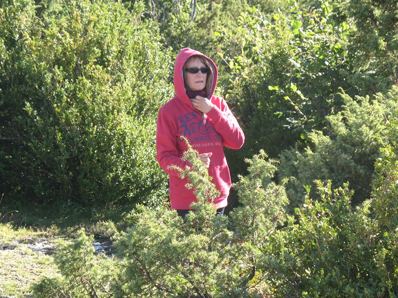 IMG_1689 (Copier).JPG