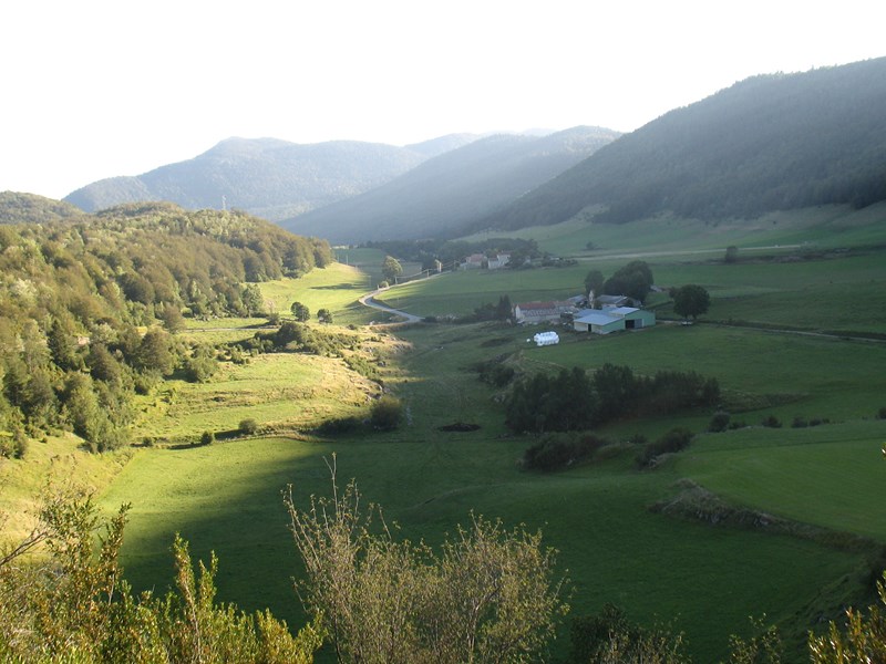 IMG_1705 (Copier).JPG