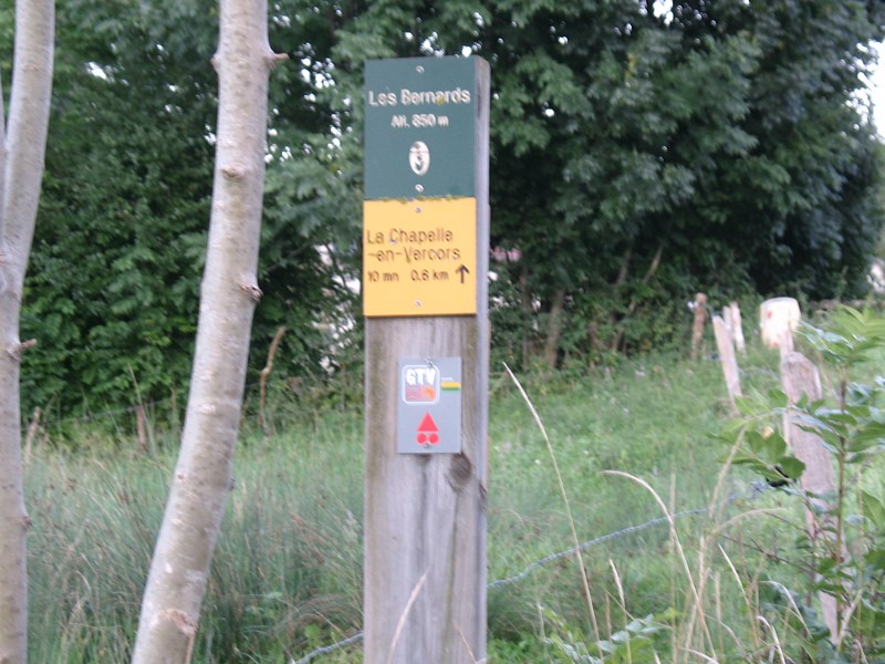 IMG_1712 (Copier).JPG