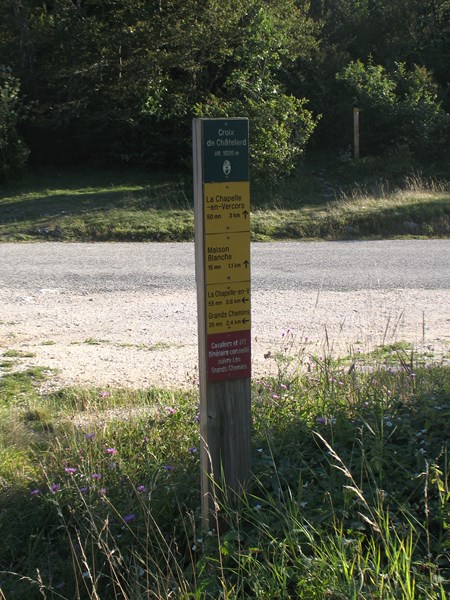 IMG_1706 (Copier).JPG