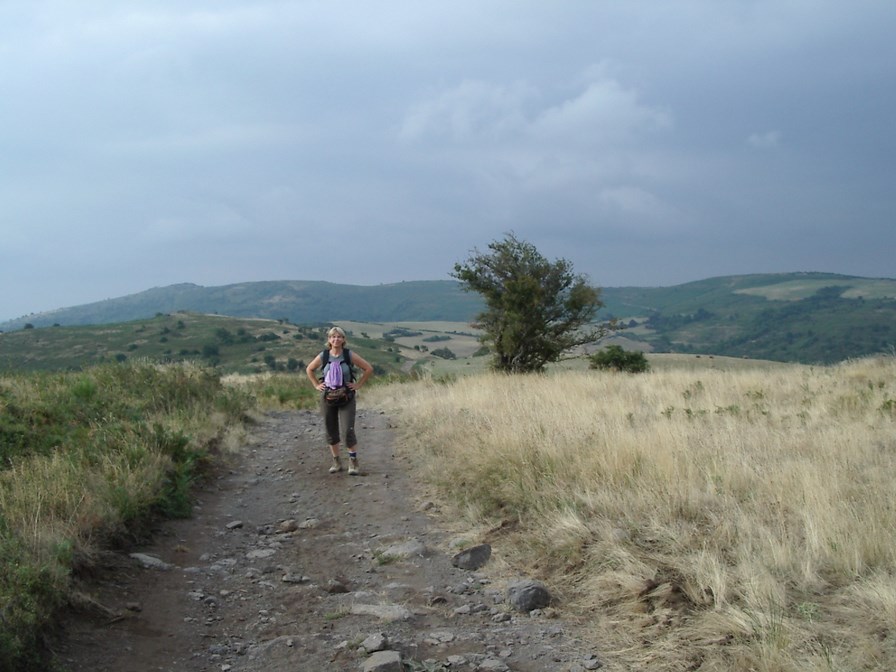 IMGP4818 (Copier).JPG