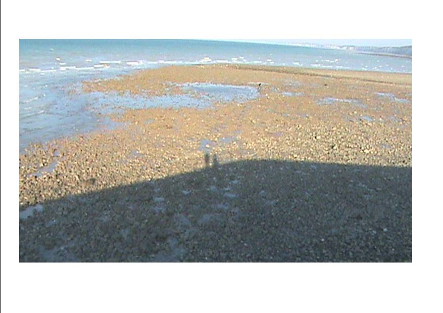 ombre à Veules.jpg