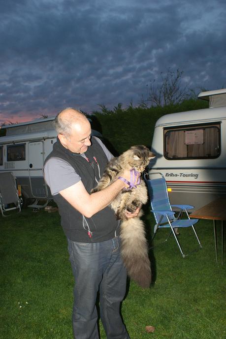 nos compagnons de voyage