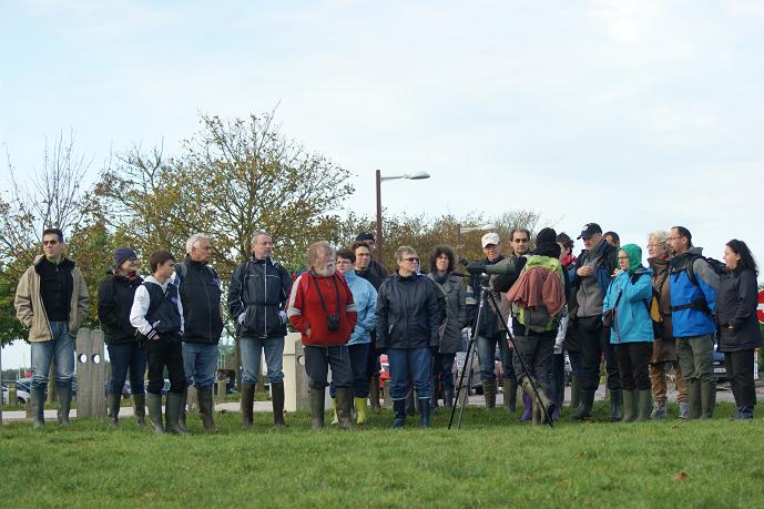 les participants à la sortie phoques