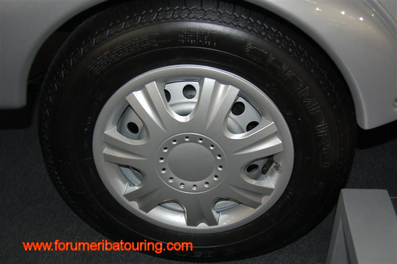 DSC_7558 (Medium).JPG