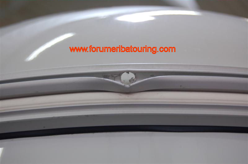 DSC_7563 (Medium).JPG