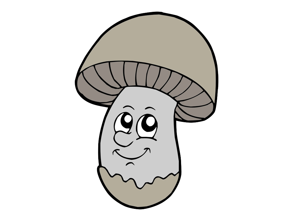 champignon png.png