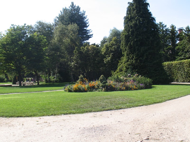 IMG_2461 (Copier).JPG