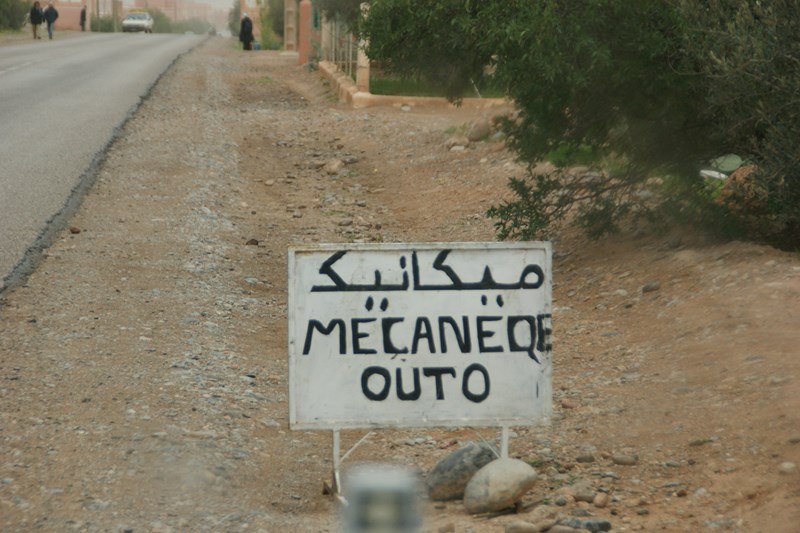 DSC00772 (Copier).JPG