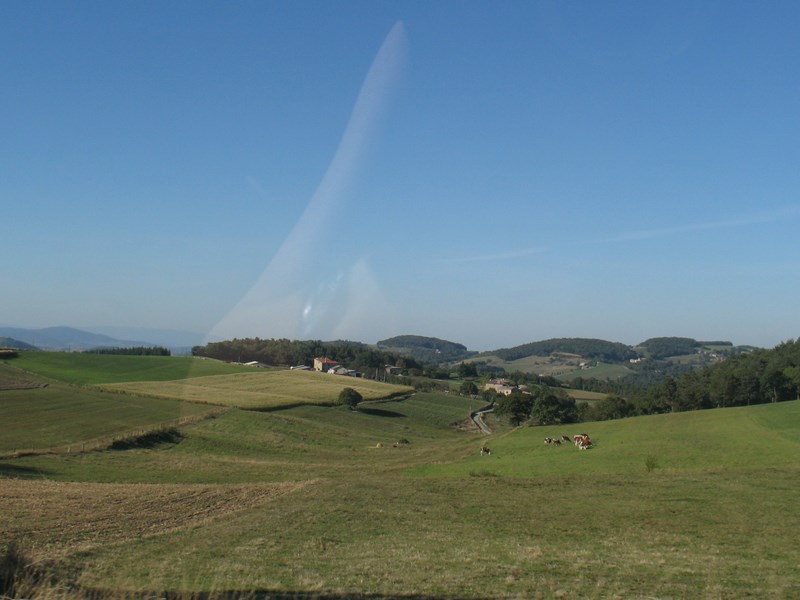 IMG_2325 (Copier).JPG