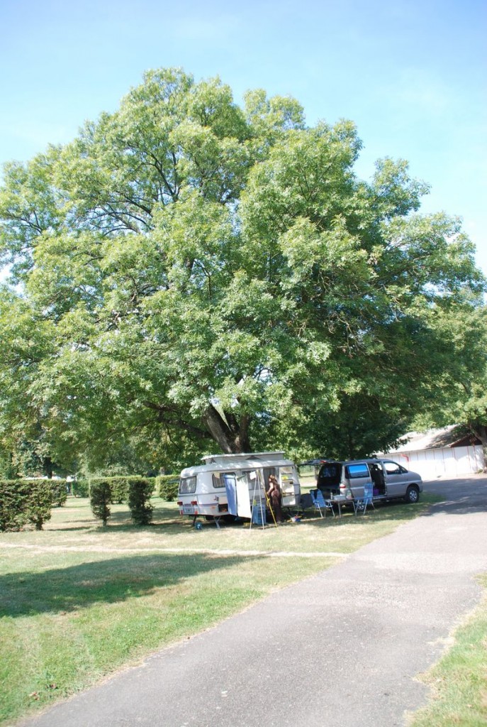 DSC_3442.JPG