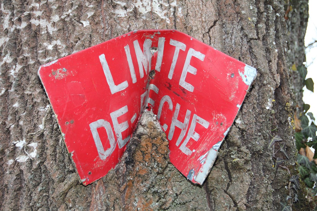 divers 170 (Copier).JPG