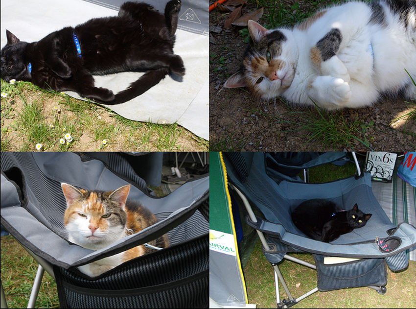 Are you comfortable.jpg