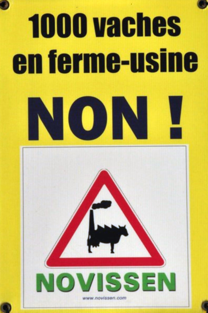 1000vaches.jpg
