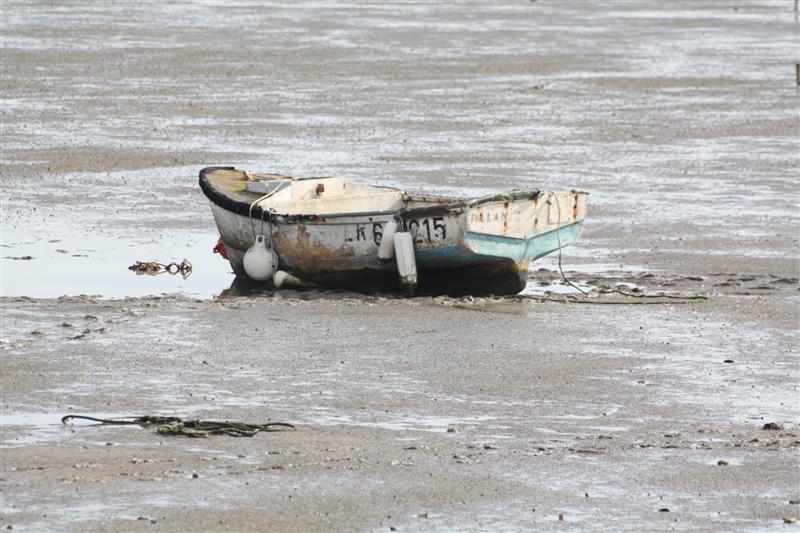 IMG_7075 (Medium).JPG