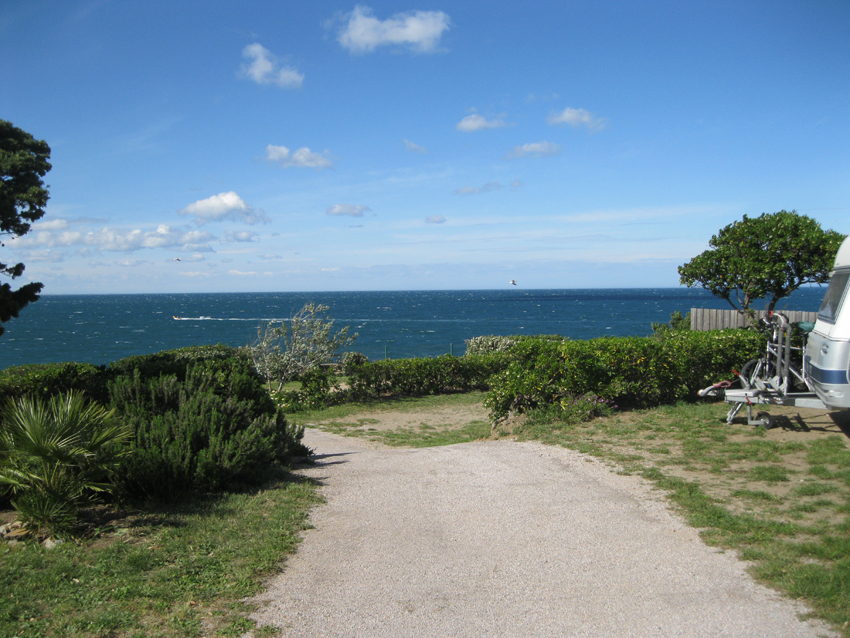 IMG_9703.jpg