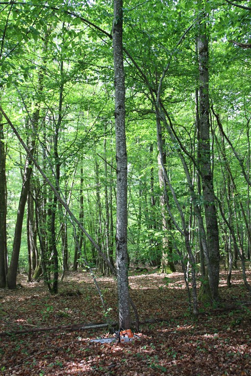 gouttière 003 (Copier).JPG