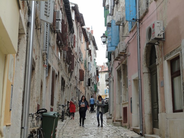 DSC06007 (Copier).JPG