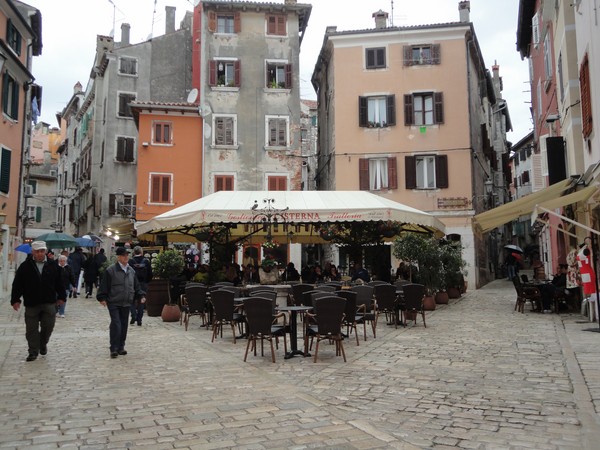 DSC06008 (Copier).JPG