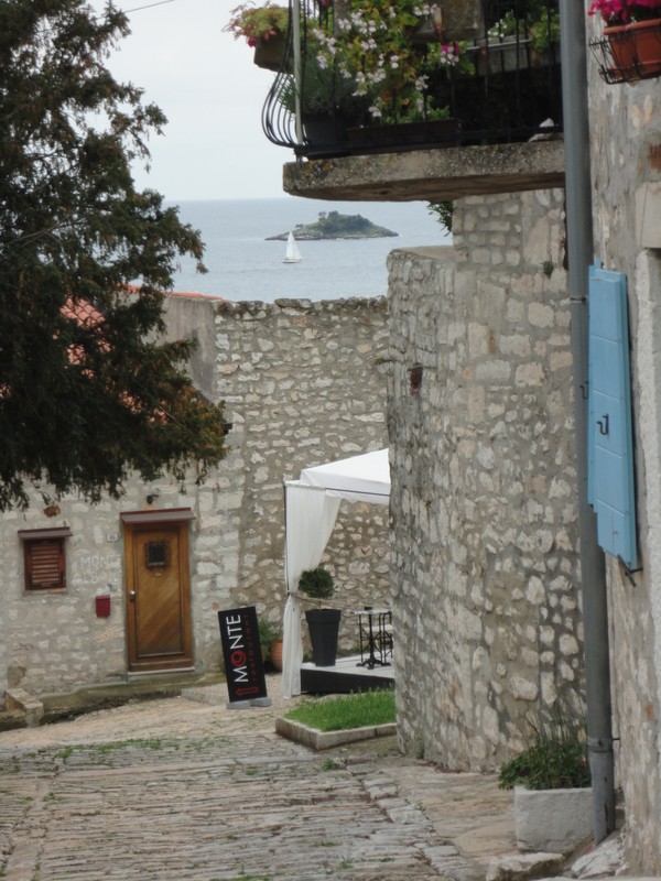 DSC06015 (Copier).JPG