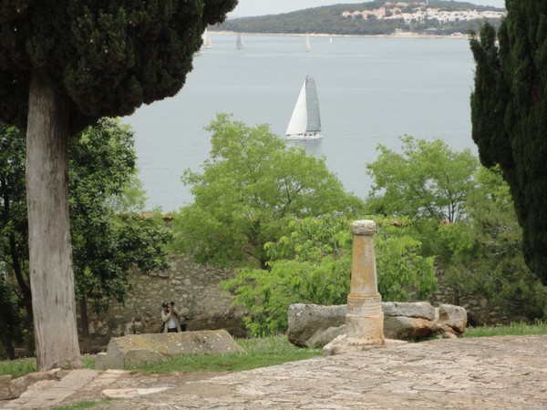 DSC06017 (Copier).JPG