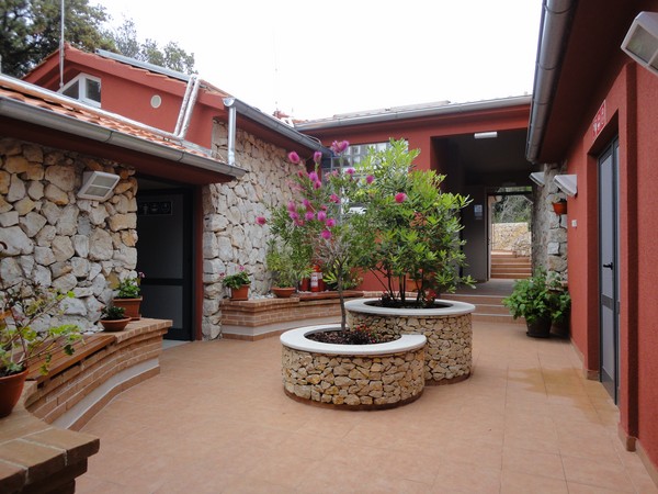 DSC06071 (Copier).JPG