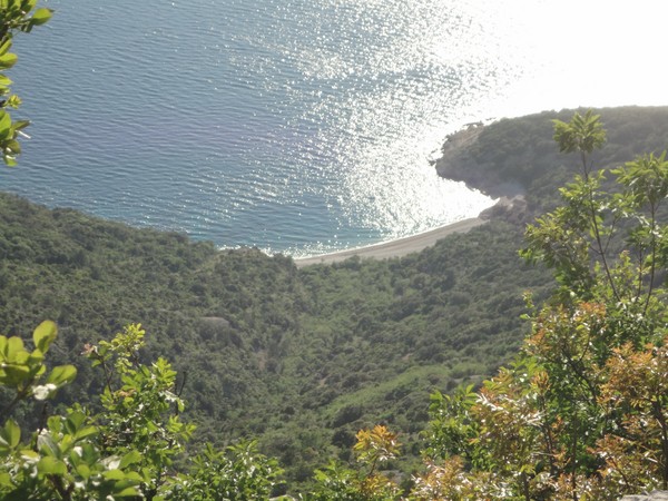 DSC06129 (Copier).JPG