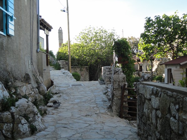 DSC06132 (Copier).JPG