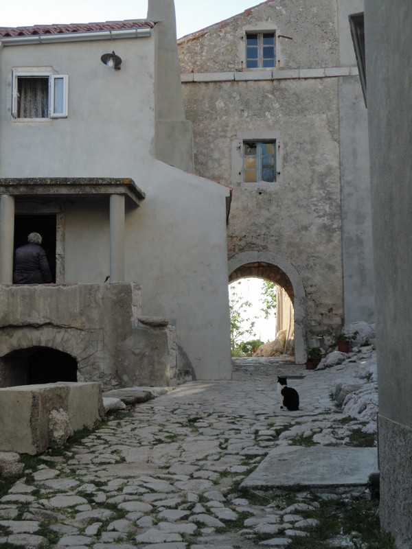 DSC06136 (Copier).JPG