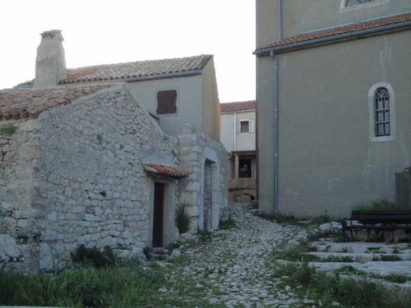 DSC06138 (Copier).JPG