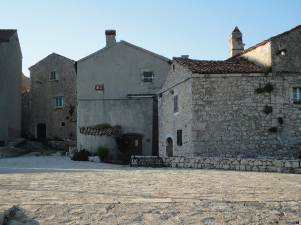 DSC06139 (Copier).JPG