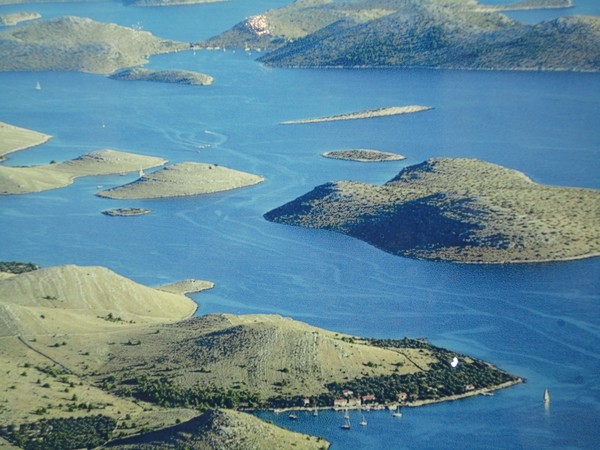 DSC06221 (Copier).JPG