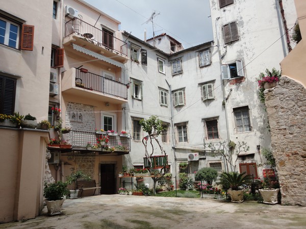 DSC06224 (Copier).JPG