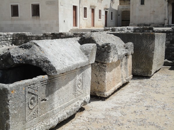 DSC06231 (Copier).JPG