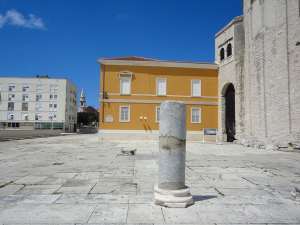 DSC06234 (Copier).JPG