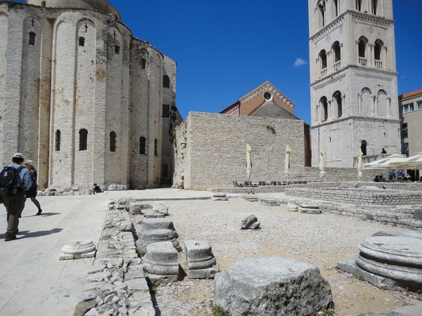 DSC06235 (Copier).JPG