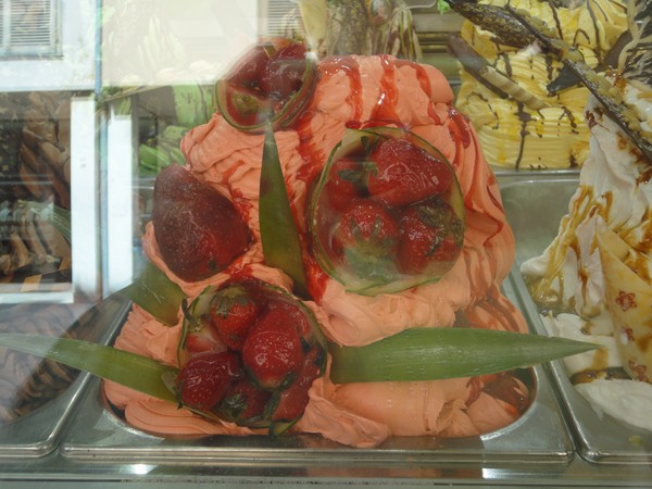 DSC06246 (Copier).JPG