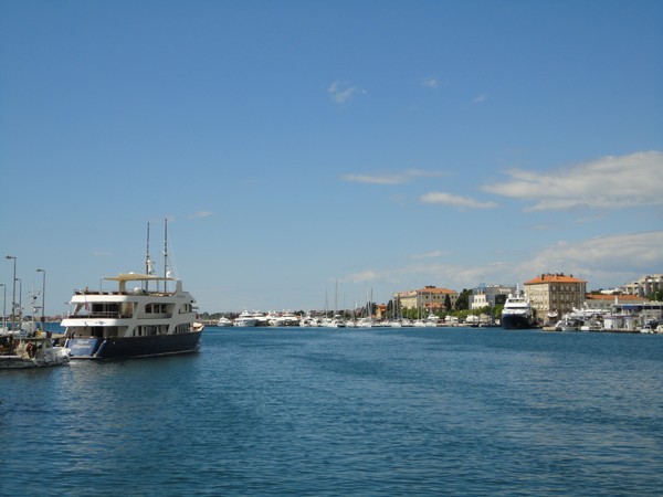 DSC06255 (Copier).JPG