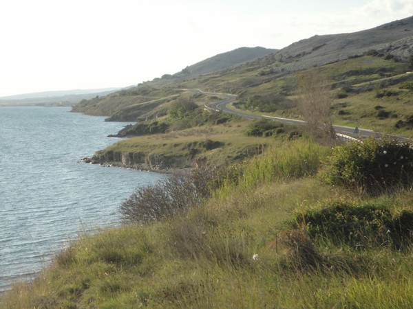 DSC06290 (Copier).JPG