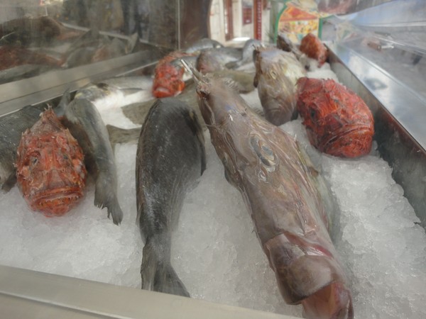 photo speciale pour Rikizuki