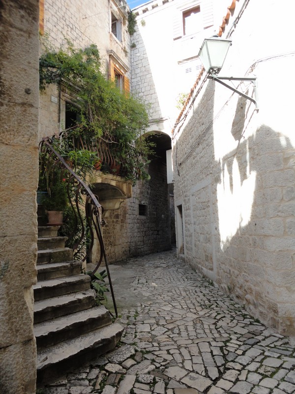 DSC06339 (Copier).JPG